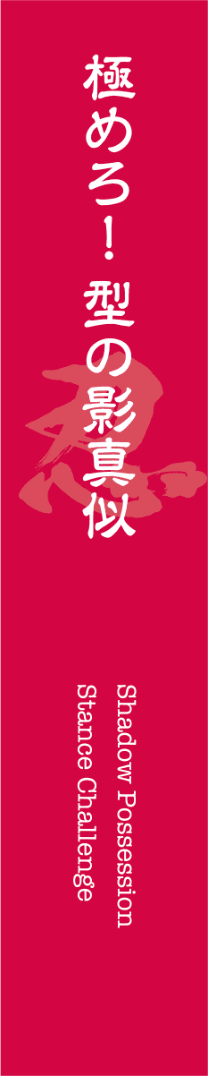 極めろ！型の影真似